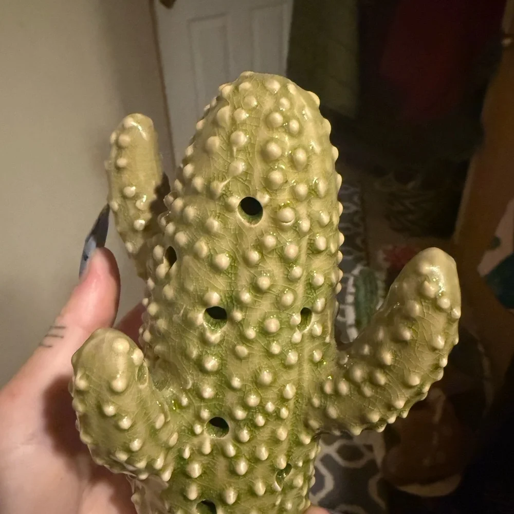 Green Cactus smelly good for house